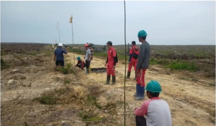 Mahasiswa Polbangtan Kementan kenali SOP planter kelapa sawit