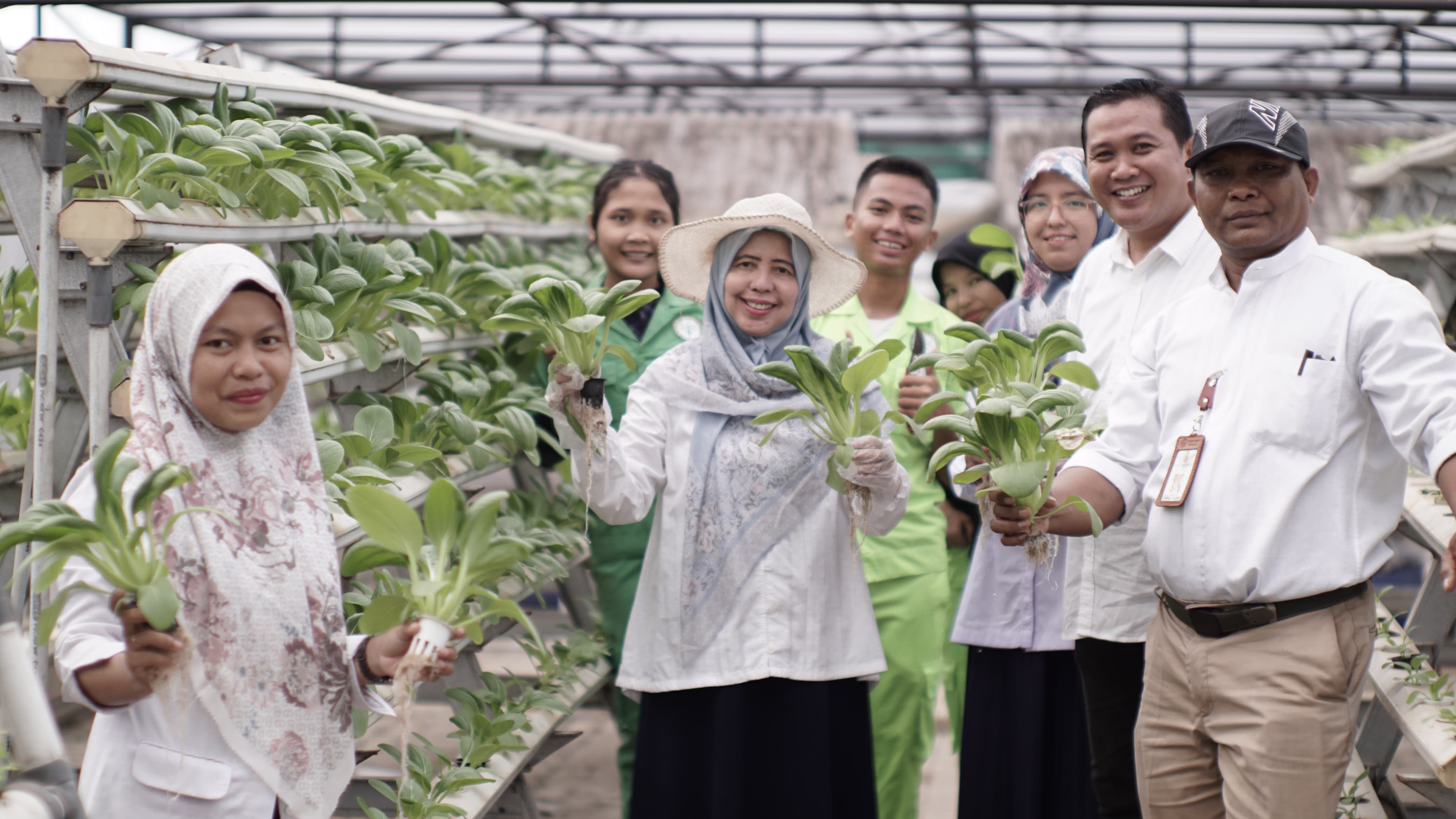 Budidaya Edamame, Polbangtan Kementan Produksi Kacang Kaya Manfaat