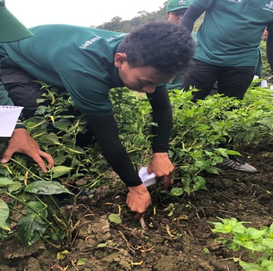Edufarmers Gelar Kegiatan Farm Experience Bagi Mahasiswa Polbangtan Medan 