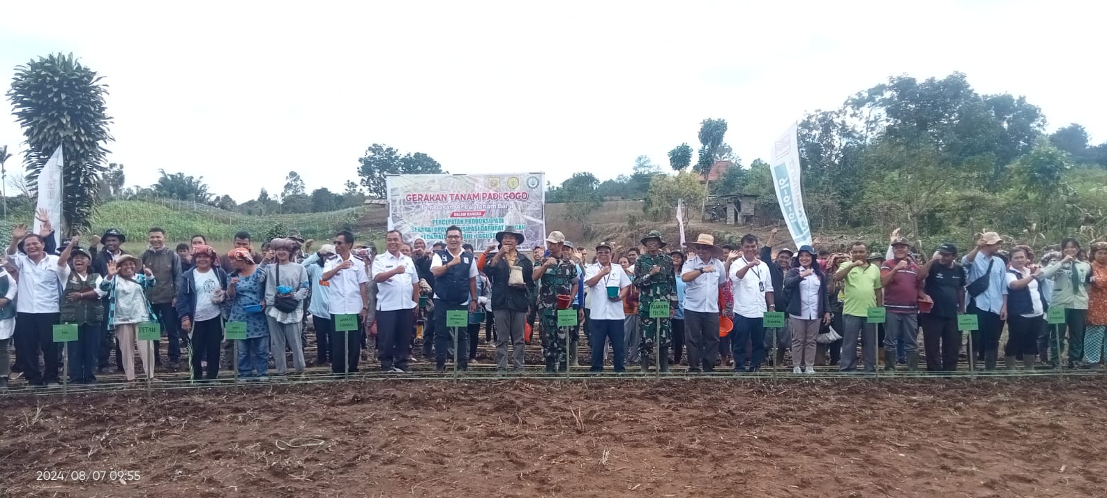 Tingkatkan Perluasan Area Tanam, Kementan Lakukan Penanaman Padi Gogo di Dairi
