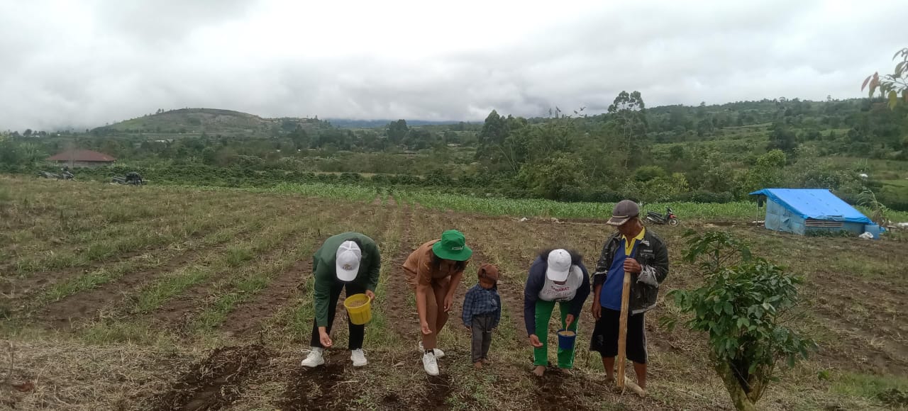 Program Tanam Padi Gogo Kementan,  Bangkitkan Kembali Tradisi Adat yang Hilang di Dairi