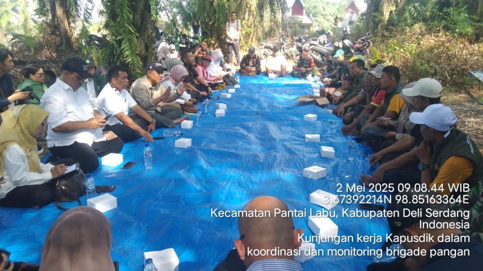 Dorong Swasembada Pangan, Kementan Lakukan Gerakan Tanam Serempak di Kabupaten Deli Serdang